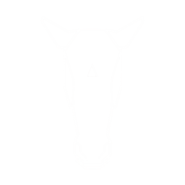 Entropy Ranch