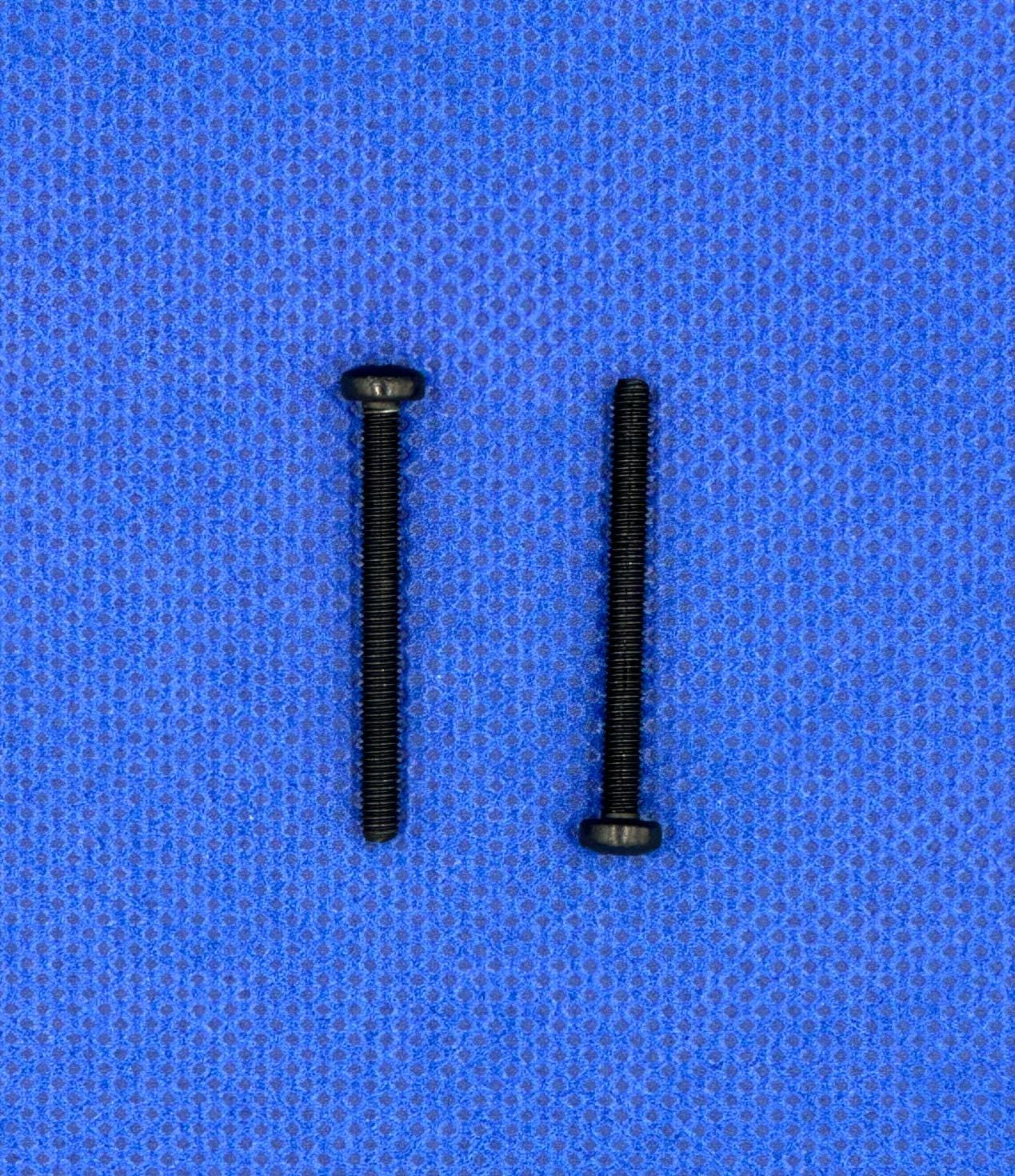 Replacement Screws (Set of 2)