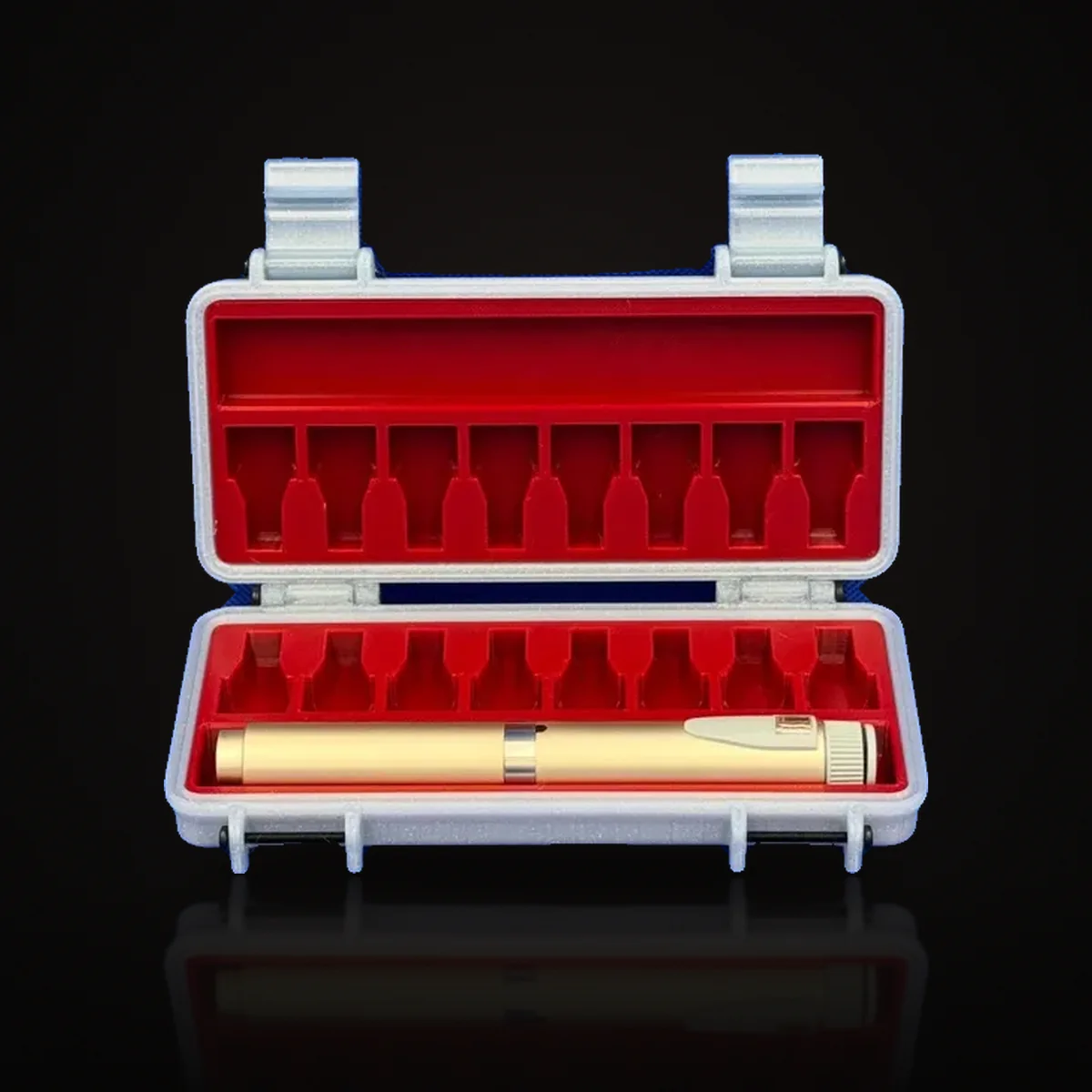3D Printed Pen & Needle Case: Travel Organizer